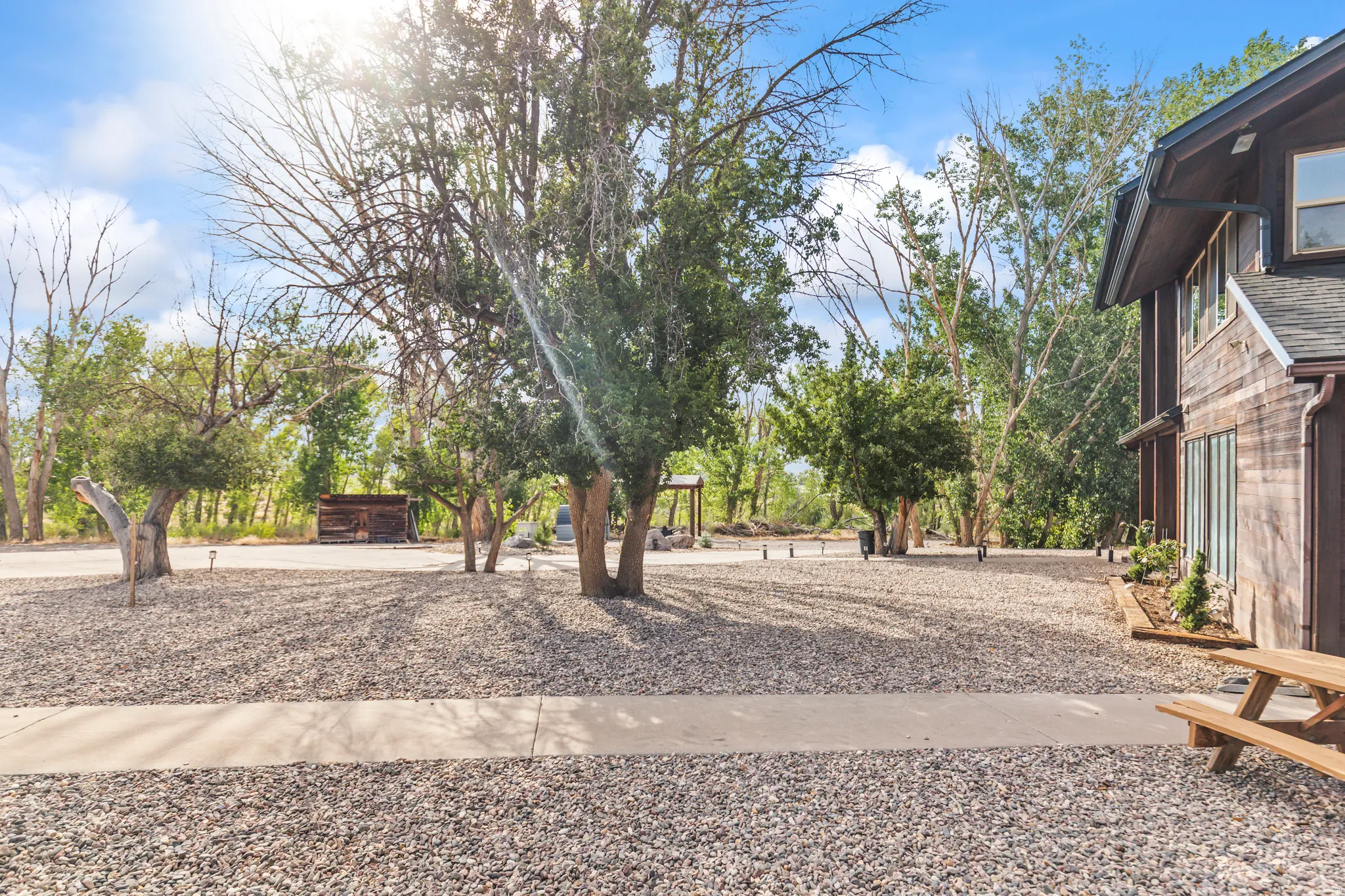 Expansive gravel driveway with a concrete walkway, bordered by mature trees and a wood-sided structure