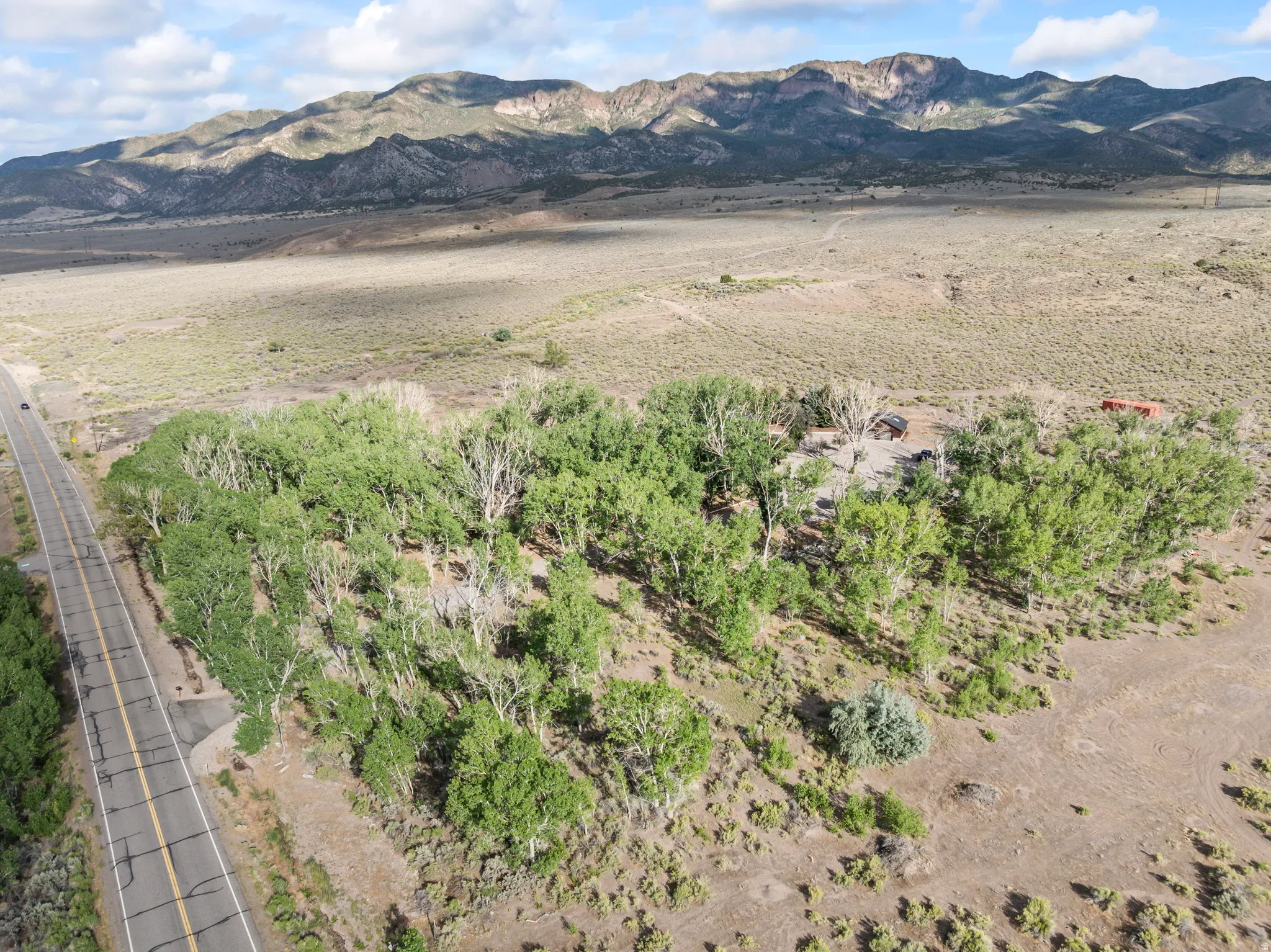 Expansive rural land featuring abundant mature trees, direct paved road frontage, and distant mountain ranges
