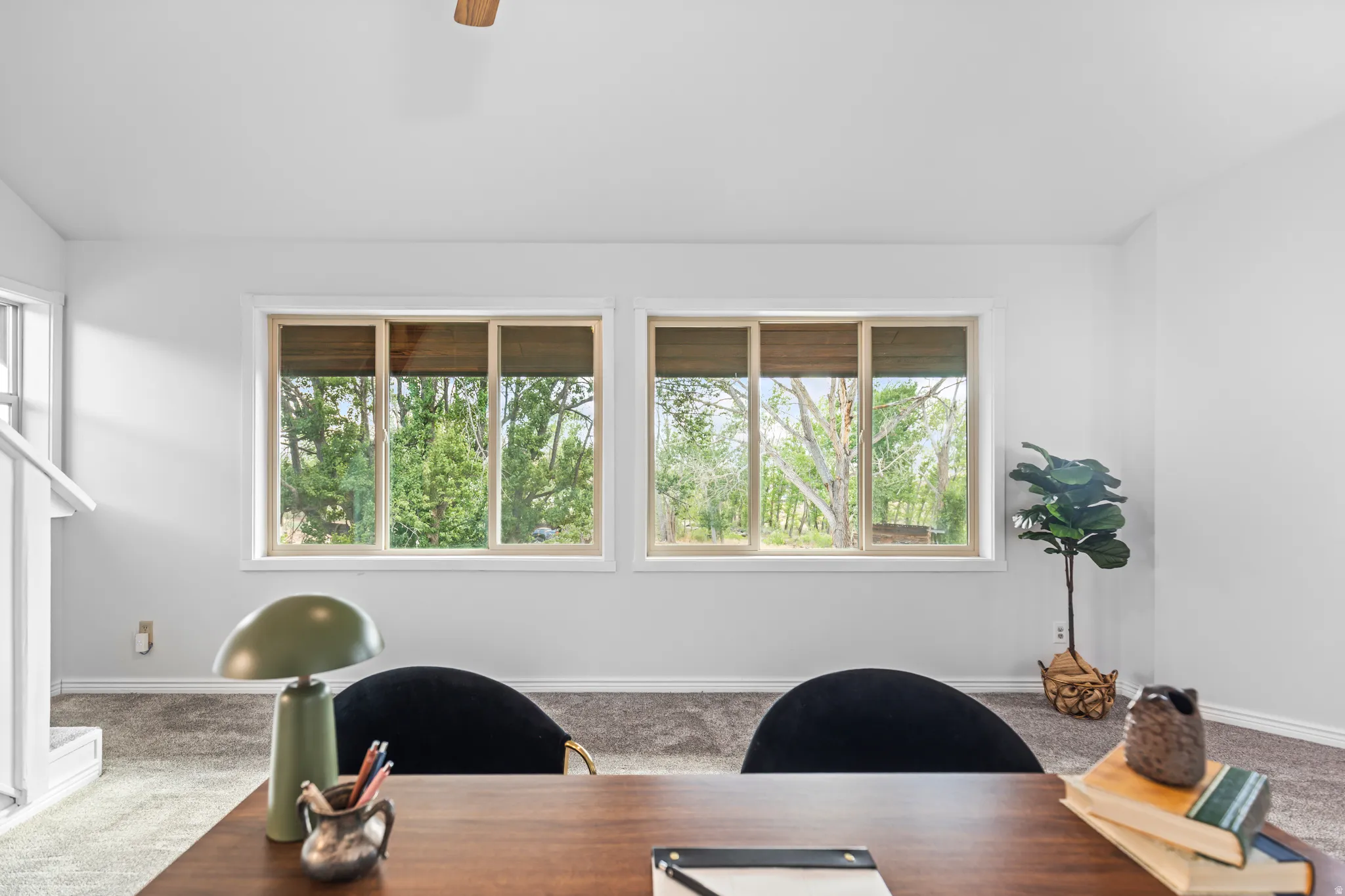 Bright room featuring two large windows, light grey carpet, and a white ceiling