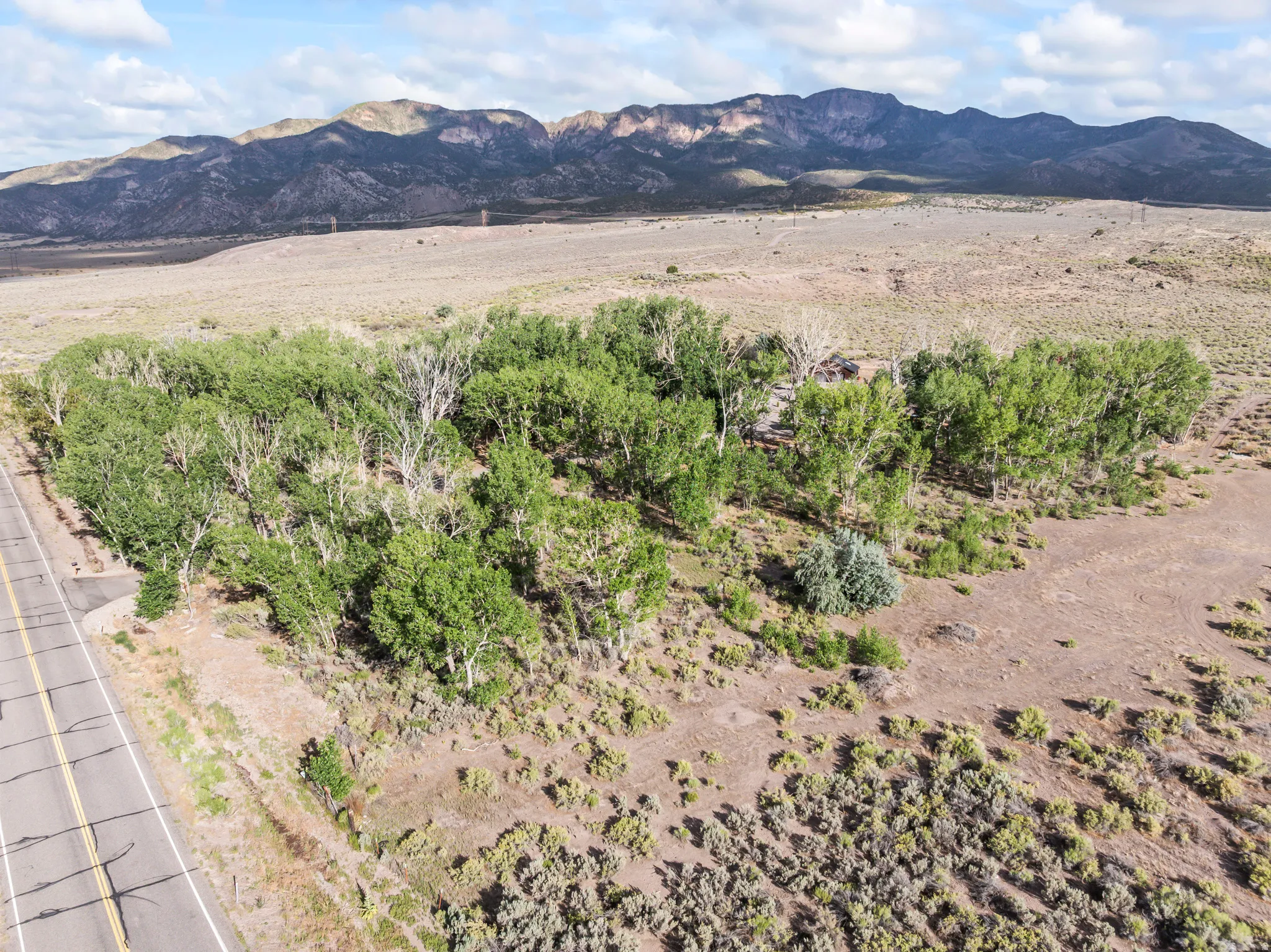 Expansive natural landscape featuring lush green trees, a paved road, and distant mountains