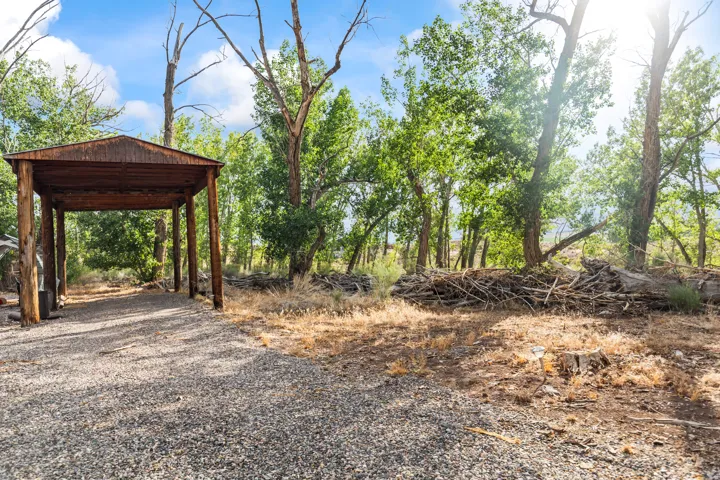 Wood-framed carport with a gravel driveway set amidst mature trees