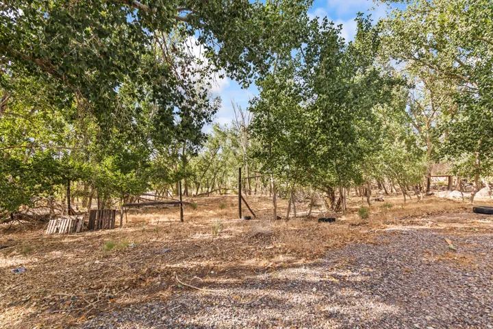 Gravel ground cover extending towards a wooded area with mature deciduous trees