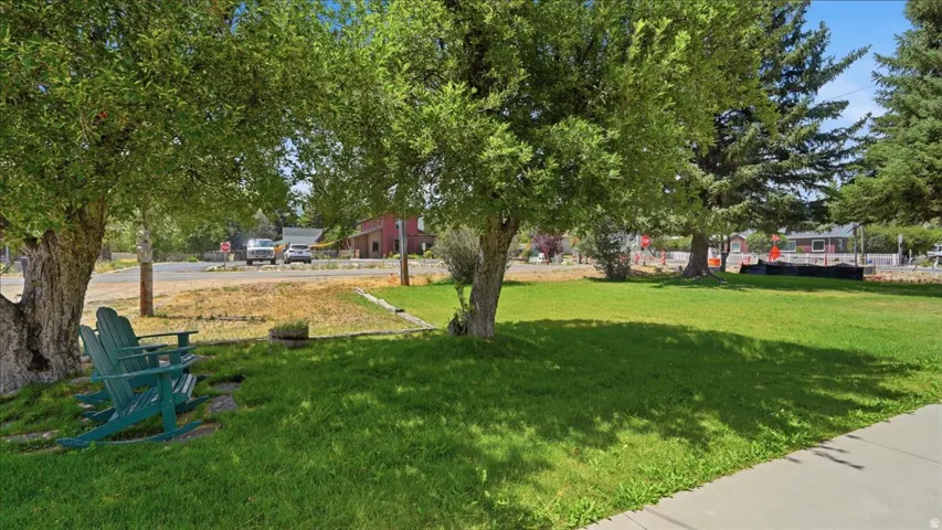 Expansive lawn area featuring mature deciduous trees and evergreen trees