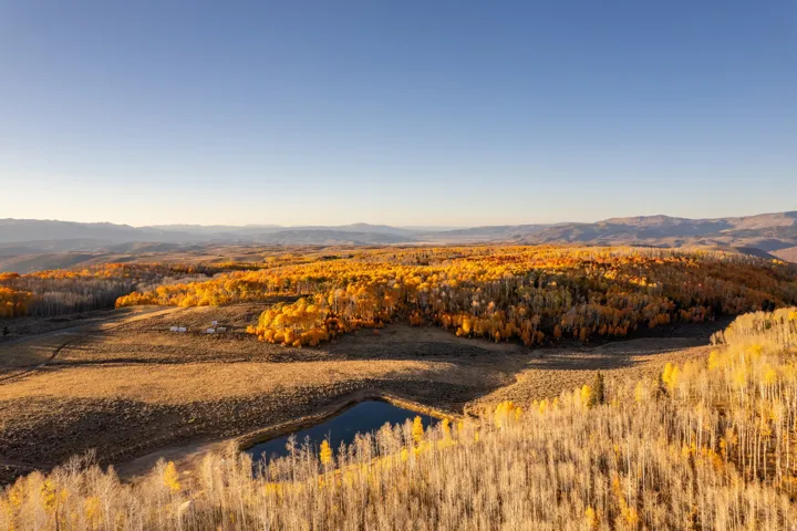 Expansive acreage featuring a natural pond, diverse tree coverage, and rolling terrain