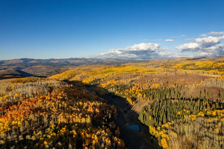 Expansive mountain scenery featuring diverse tree cover, a natural pond, and rolling hills