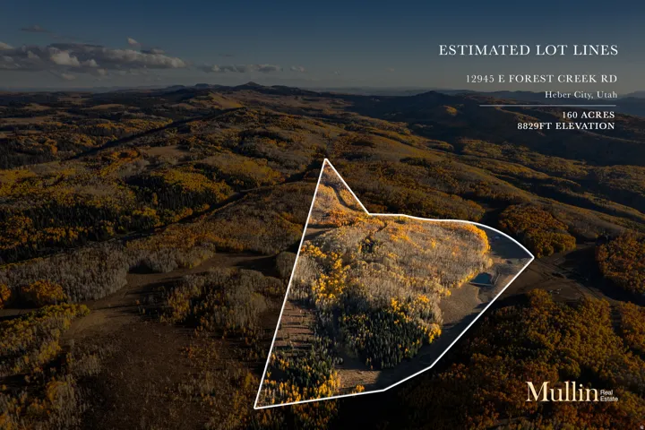 160-acre parcel at 8829ft elevation, featuring a mix of deciduous and evergreen trees within the estimated lot lines
