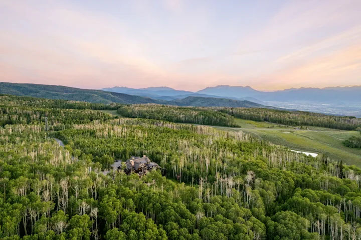 Expansive mountain estate surrounded by dense forest