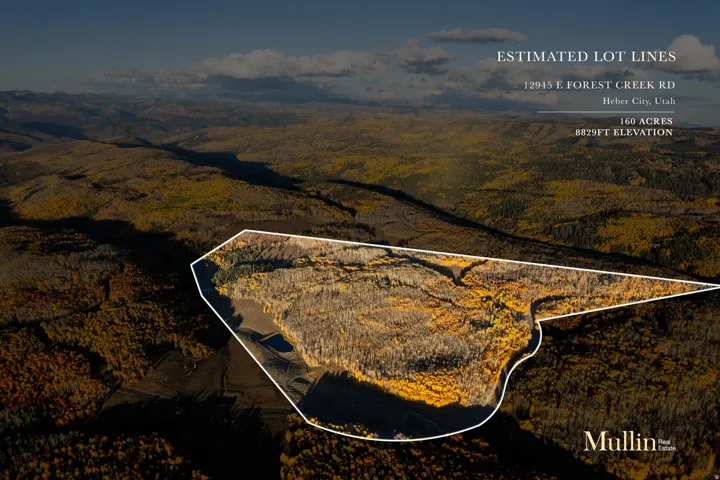 160-acre property featuring varied topography and natural woodlands
