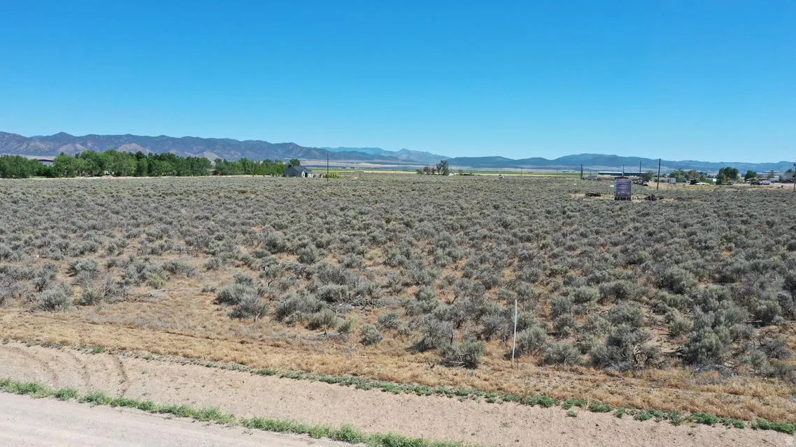 Expansive open land featuring natural desert vegetation