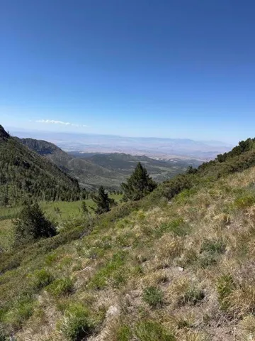 Expansive mountain terrain featuring natural vegetation and distant valley topography under a clear sky