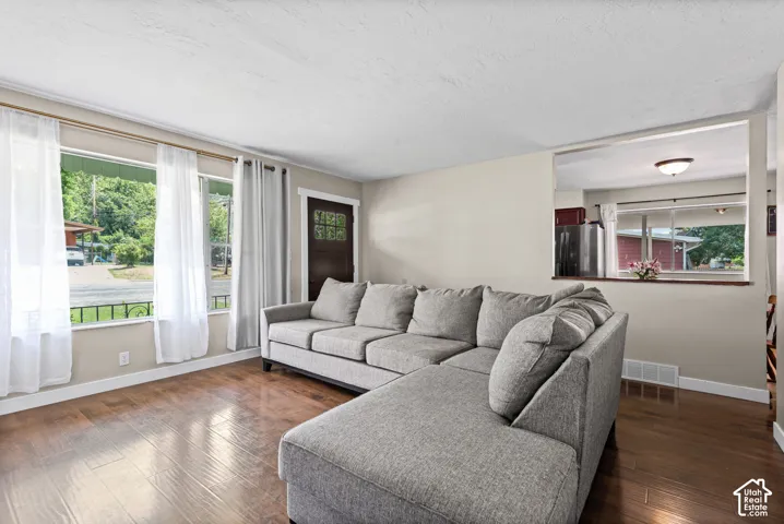 Spacious living area featuring wood-finish flooring, multiple windows, and a partial wall opening to an additional room