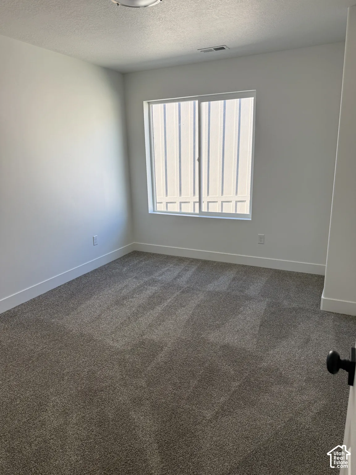 Neutral wall color palette with plush carpeting