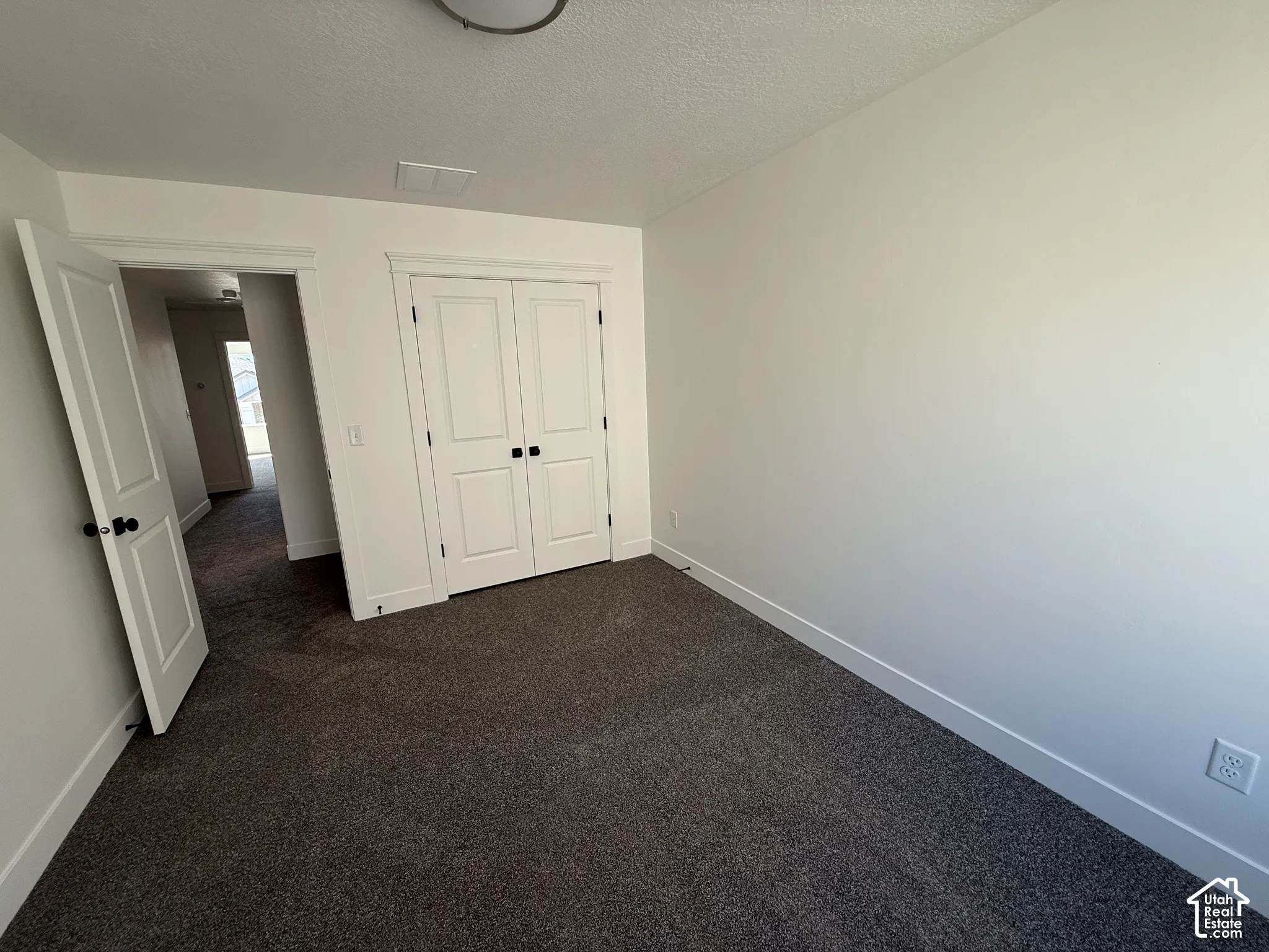 Neutral wall color, dark carpeting, white trim, paneled doors with black hardware, and a ceiling-mounted light fixture