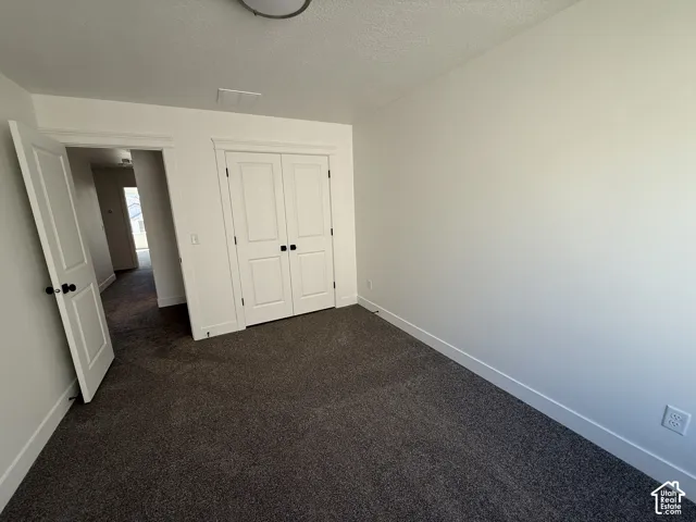 Neutral wall color, dark carpeting, white trim, paneled doors with black hardware, and a ceiling-mounted light fixture