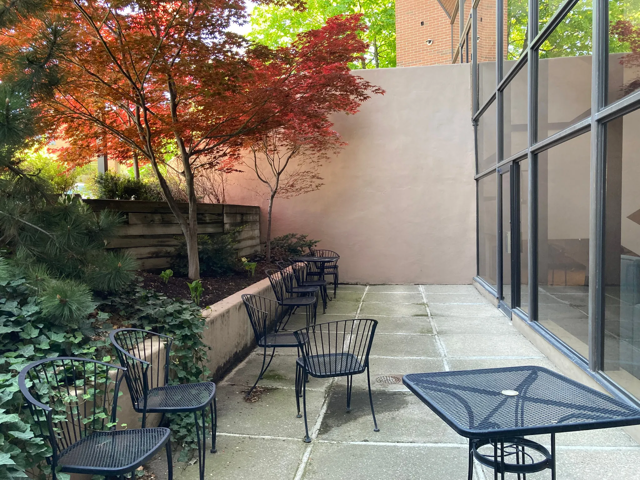 Private patio featuring concrete paver flooring, mature Japanese maples, a concrete retaining wall, and full-height windows
