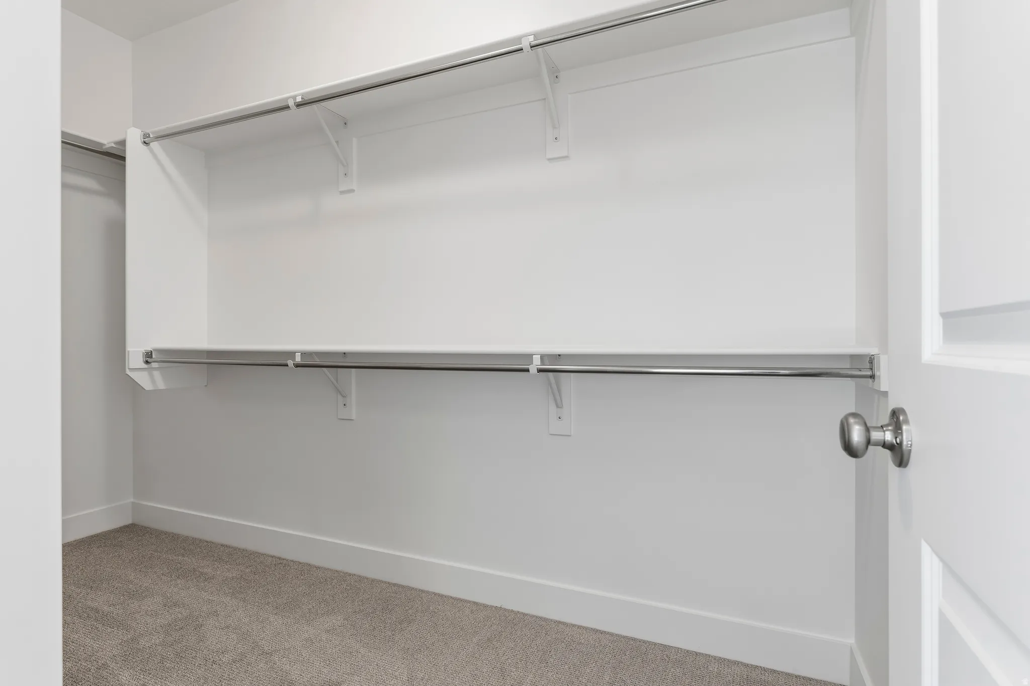 Walk-in closet with carpet flooring, white walls, white shelving, and chrome hanging rods