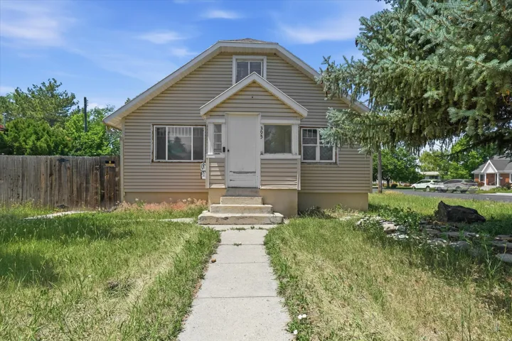 Traditional siding exterior featuring a central entrance with a small porch, elevated concrete steps, an attic dormer, and a concrete pathway