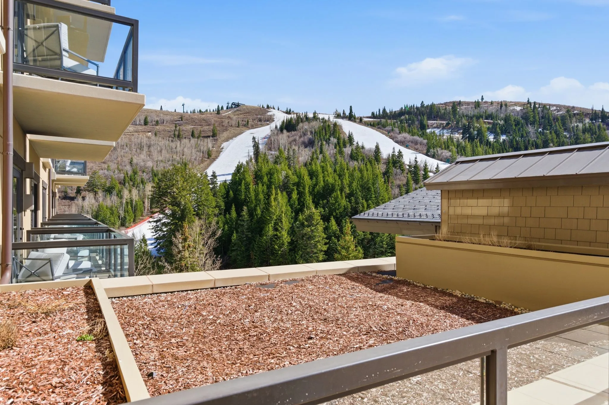 Mountain ski slope backdrop with evergreen tree lines