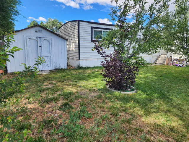 Grassy outdoor space featuring a white storage shed with double doors, a mature tree, and a shrub with dark foliage
