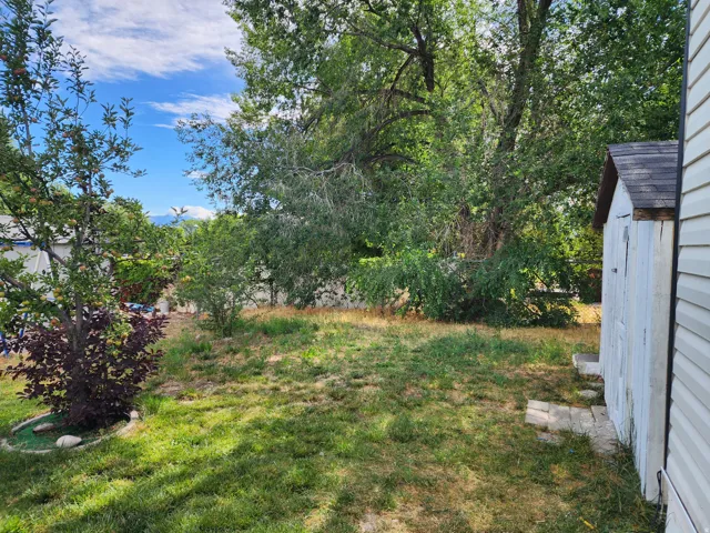Expansive green space featuring mature trees and a storage shed