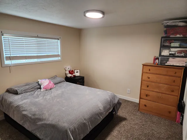Carpeted room featuring a single window with blinds, neutral wall tones, and a flush-mount ceiling light fixture