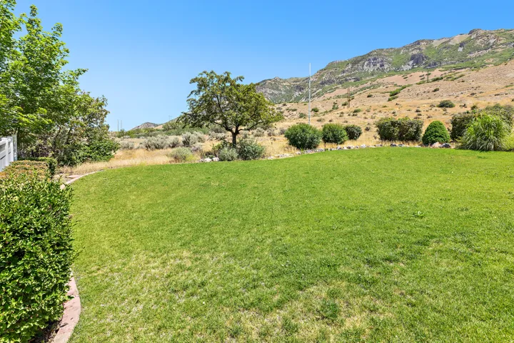 Expansive lawn bordered by a low hedge and a decorative stone edge