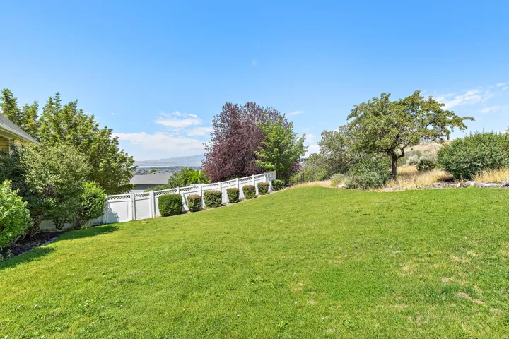 Expansive green lawn with a white privacy fence, mature trees, and distant natural landscape