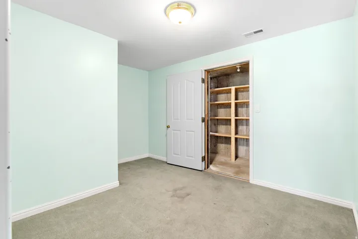Room with light green walls and neutral carpeting, featuring a white paneled door, built-in shelving, and a ceiling-mounted light fixture
