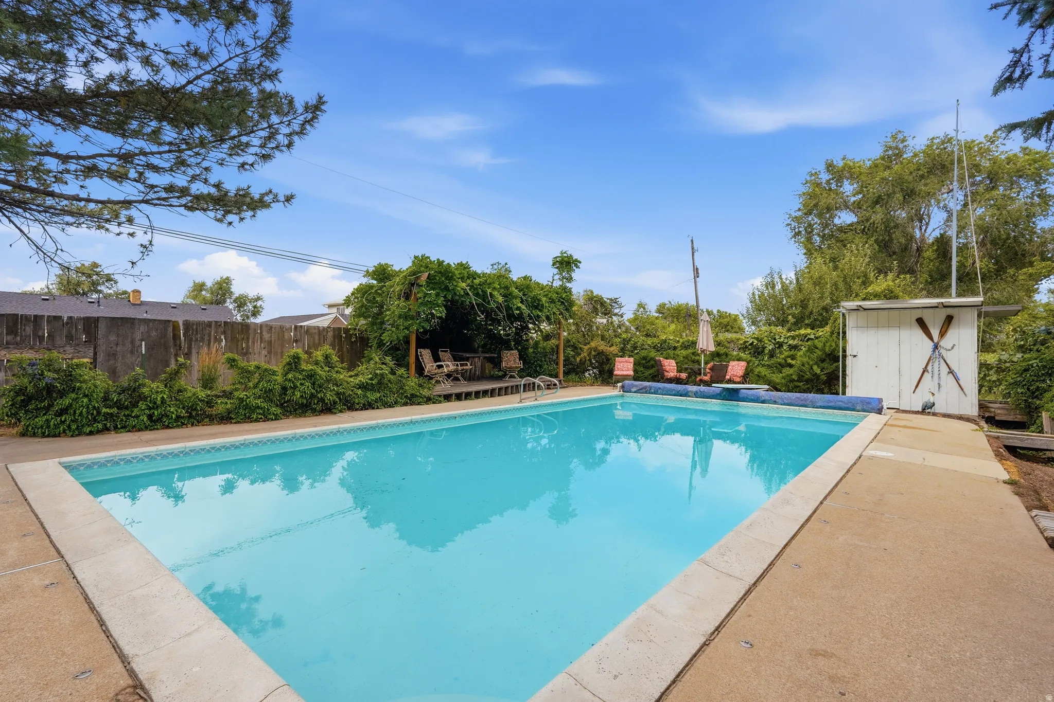 Rectangular swimming pool with concrete decking, surrounded by mature perimeter foliage