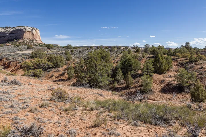 View of undeveloped land