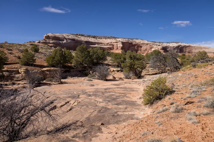 View of mountain background featuring a desert landscape