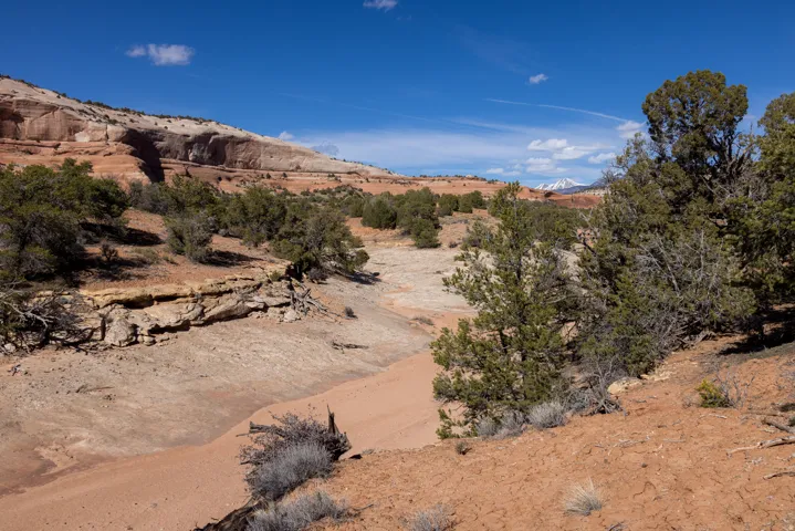 View of mountain background featuring a desert landscape