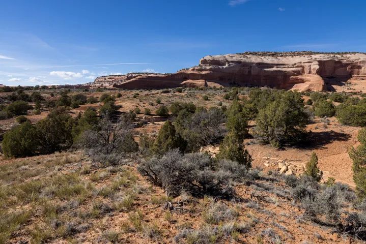 View of mountain background featuring a desert landscape