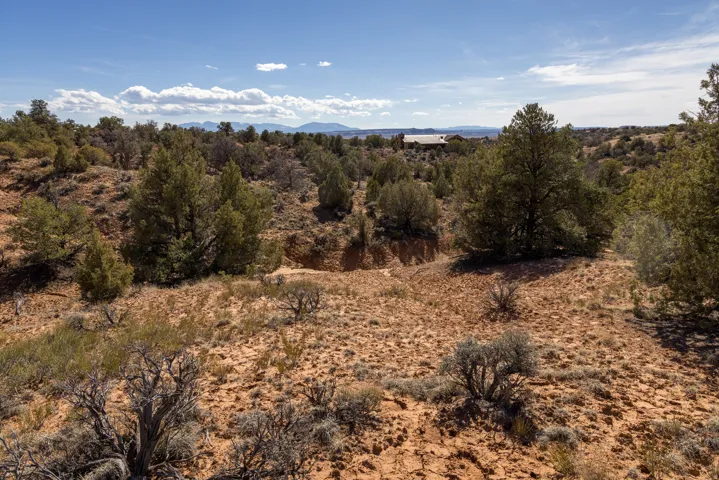 View of undeveloped land