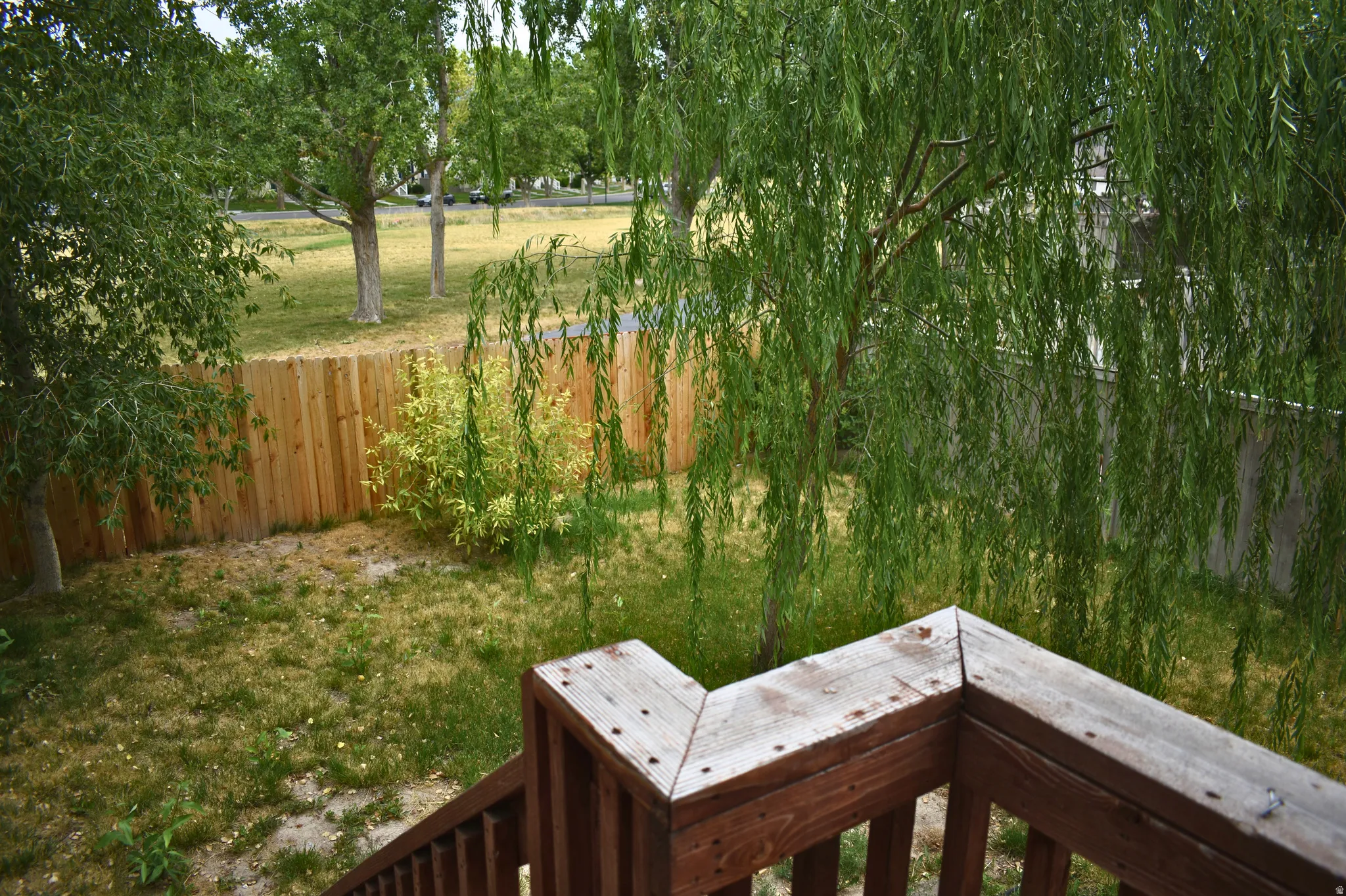 Private backyard with a wood privacy fence, featuring a mature weeping willow tree and additional plantings