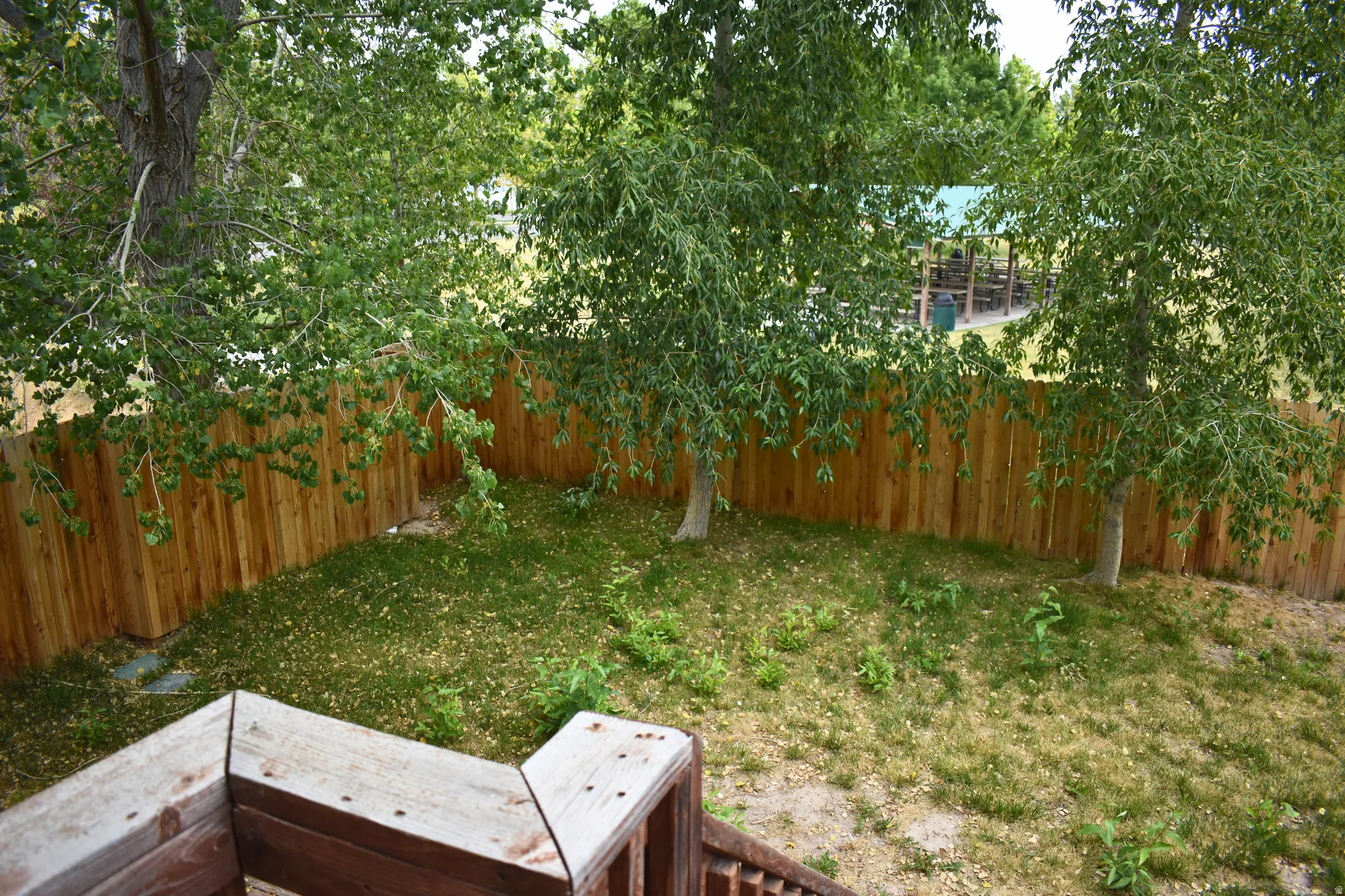 Private backyard space featuring a wood privacy fence and mature trees