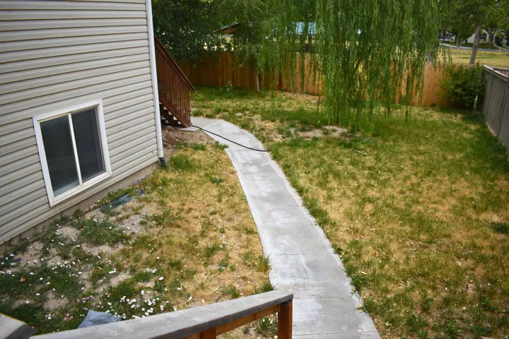 Expansive backyard with a curved concrete pathway, featuring a mature weeping willow tree and wood privacy fencing