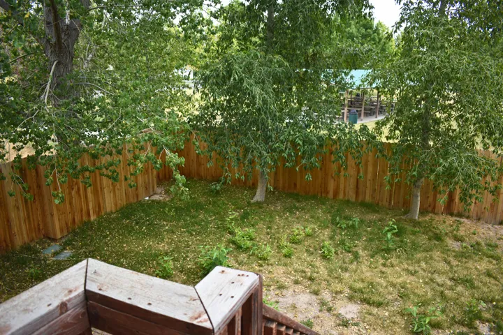 Private backyard space featuring a wood privacy fence and mature trees