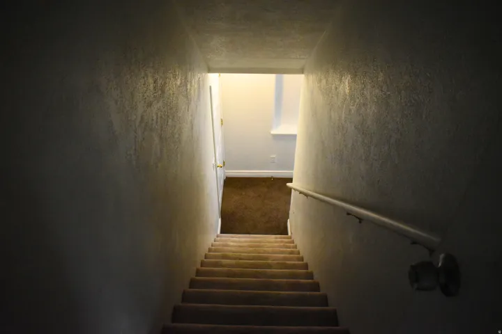 Carpeted staircase with a white handrail