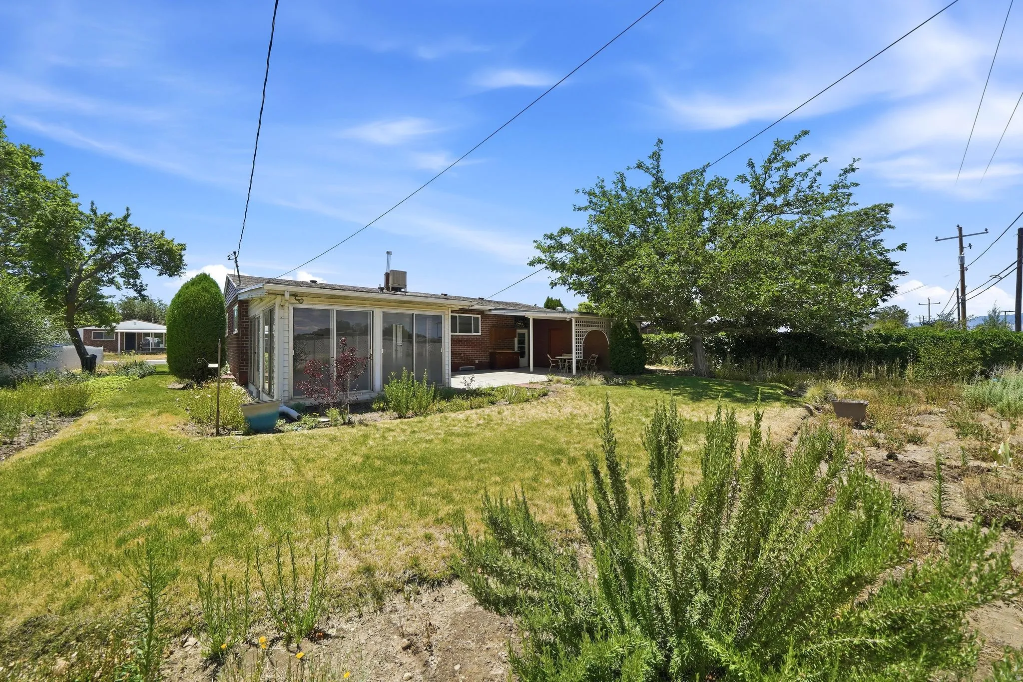 Expansive backyard featuring a manicured lawn, established landscaping, and mature trees