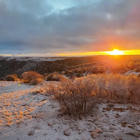 1251 S Eastland Rd, Monticello, Utah 84535