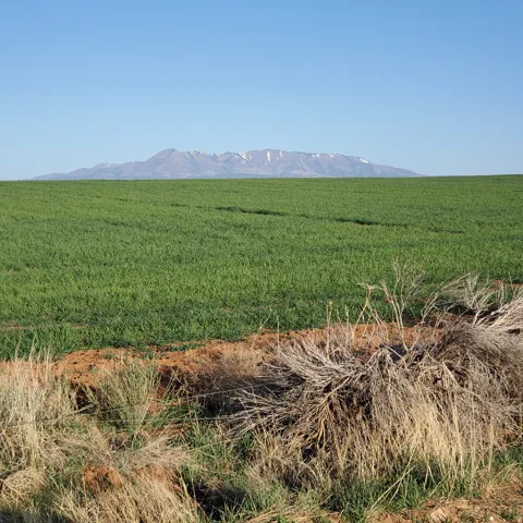 1251 S Eastland Rd, Monticello, Utah 84535