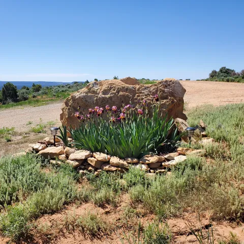 1251 S Eastland Rd, Monticello, Utah 84535