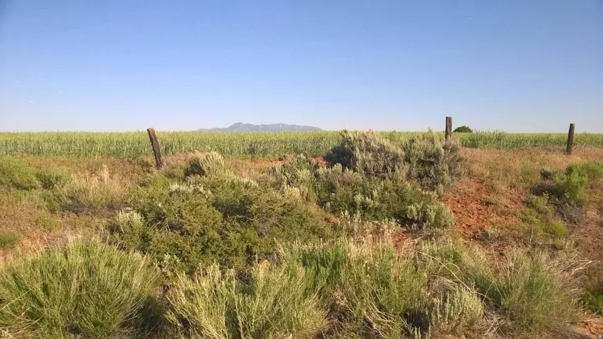 1251 S Eastland Rd, Monticello, Utah 84535
