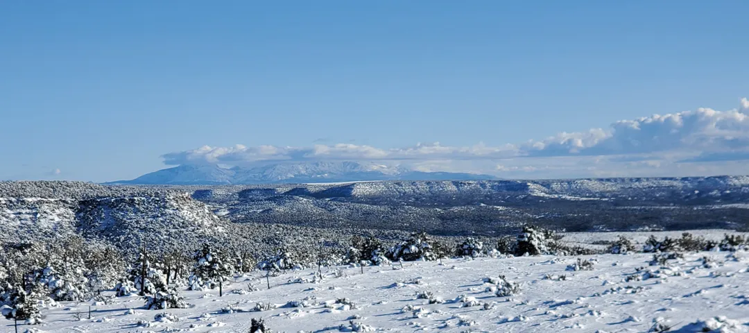 1251 S Eastland Rd, Monticello, Utah 84535