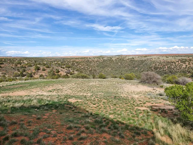 1251 S Eastland Rd, Monticello, Utah 84535
