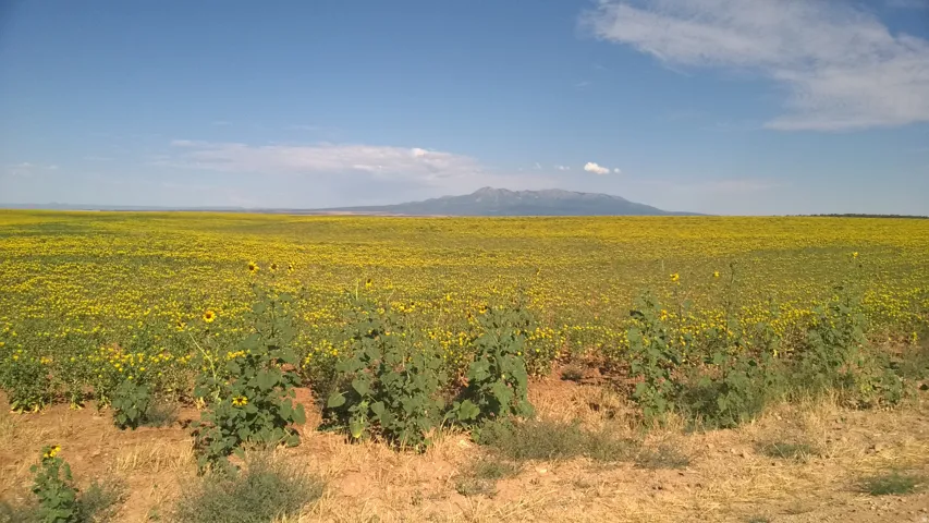 1251 S Eastland Rd, Monticello, Utah 84535