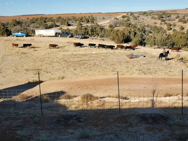 1251 S Eastland Rd, Monticello, Utah 84535