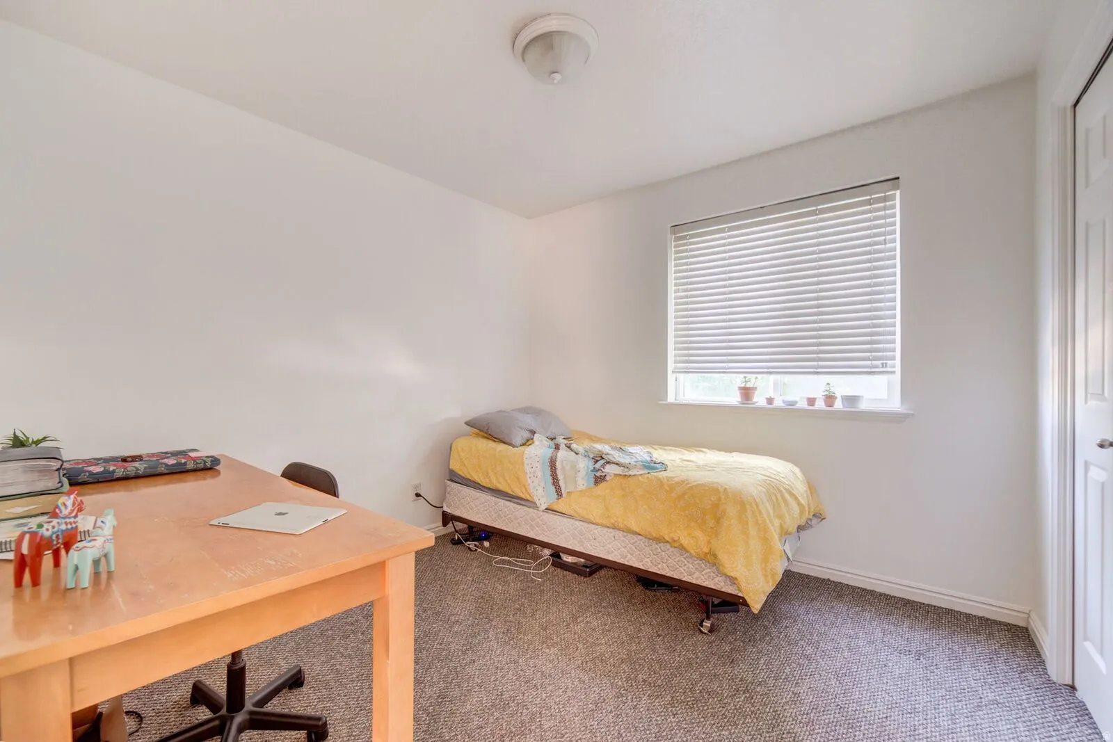 Bright interior room featuring white walls and textured carpeting