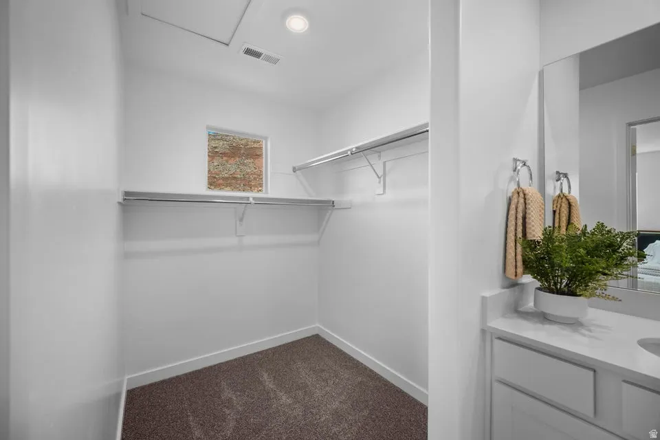 Walk-in closet featuring built-in shelving, carpet flooring, a window, and recessed lighting
